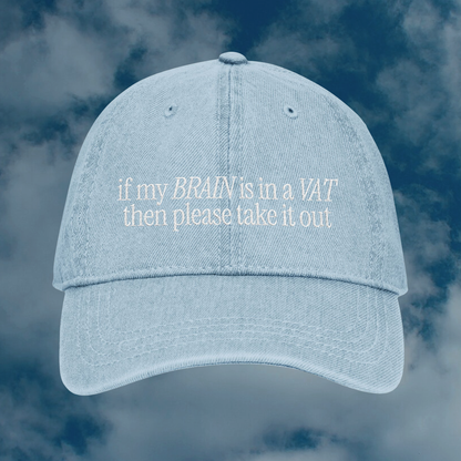 Grant Us Night Simulation light blue denim cap with 'if my brain is in a vat then please take it out' white text embroidered against a blue sky background